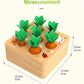 Rechiato Montessori Toys For 1 Year Old, Carrot Shape Size Sorting Game, Wooden Easter Baby Toys For Babies 6-12 Months Fine Mot