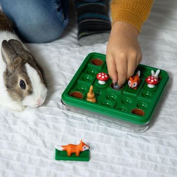 Smartgames Jump In, A Cognitive Skill-Building Travel Puzzle Game For Kids And Adults Ages 7 & Up, 60 Challenges In Travel-Frien