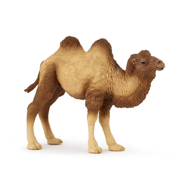 Papo -Hand-Painted - Figurine -Wild Animal Kingdom - Bactrian Camel -50129 -Collectible - For Children - Suitable For Boys And Girls- From 3 Years Old