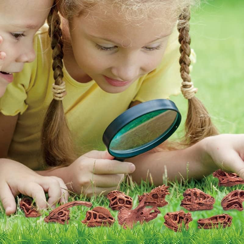 Lc Joycre 11Pcs Realistic Mini Dinosaur Bones Set T-Rex Skull For Sandbox Kids Toys Carnotaurus Velociraptot Brachiosaurus Ovira