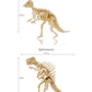3D Wooden Dinosaurs Bundle Pack Puzzle