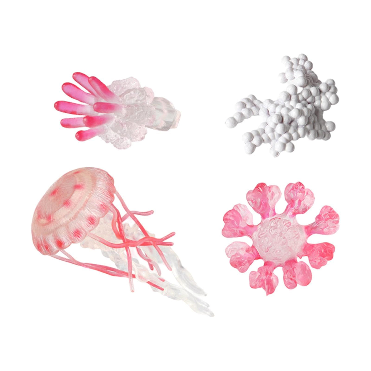 Bnf Jellyfish Growth Cycle Science Teaching Props Birthday Gifts Animals Figures Pinkbaby | Toys For Baby | Developmental Baby T