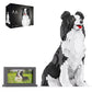 HJPLPXH Animal Dog Adorable Pet Collie Building Block Set - Secret Small Storage Box Inside! Ideal Toy for Dog Lovers  Kids & mature-themeds.