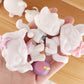 16pcs/Lot White Base for Pet Shop Cat Dog Fox Timber Wolf Sitting Cat Persian Cat Collie Deer Great Dane Cocker Spaniel Dachshun