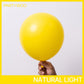 Partywoo Yellow Balloons, 85 Pcs Matte Yellow Balloons Different Sizes Pack Of 18 Inch 12 Inch 10 Inch 5 Inch Yellow Latex Balloons For Balloon Garland Balloon Arch As Party Decorations, Yellow-Y55