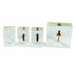 Realbug Dragonfly Lifecycle 4Pc Set