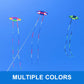 Beach Kites For Adults Large With Long Tail, 98 Inches Super Easy Flyer 3D Rainbow Box Kites, Come With 49 Feet Multi Colors Tails X 2, 300 Ft Kite String & Handle (Rainbow)