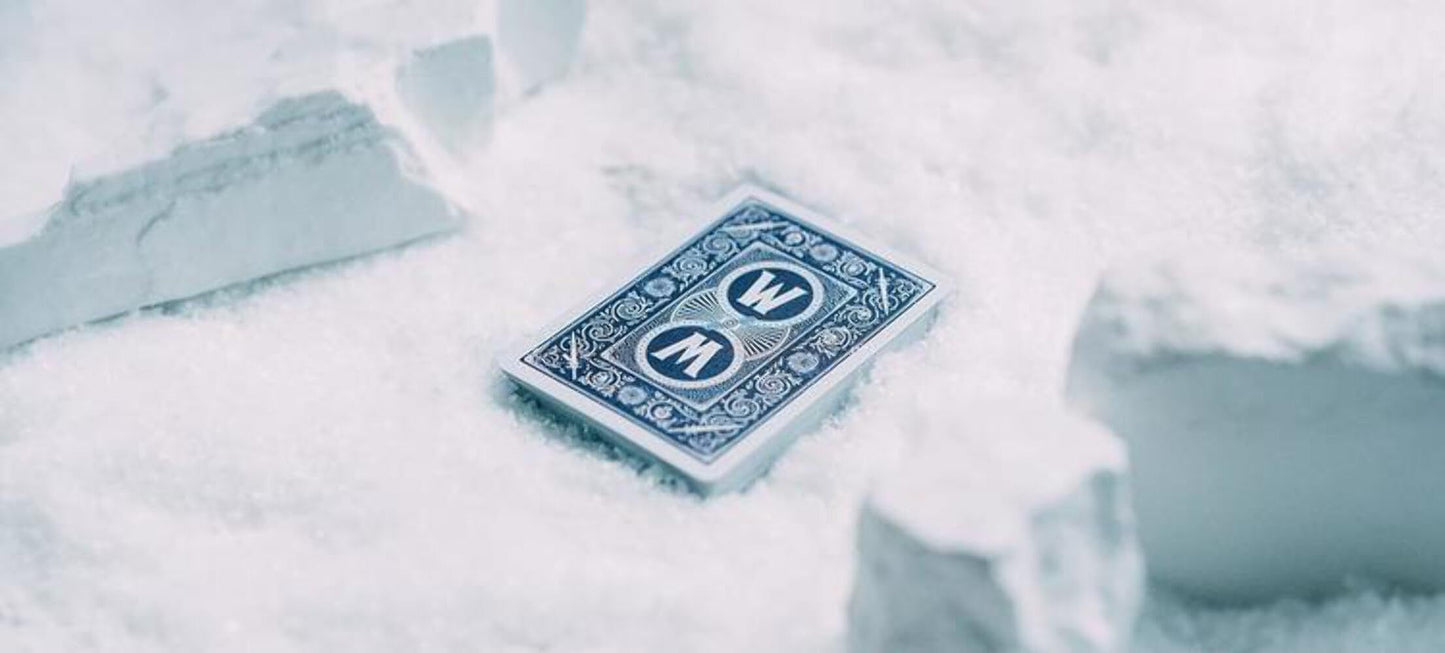 Bicycle World of Warcraft: Wrath of The Lich King enhanced Special Edition Playing Cards