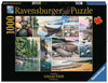 Ravensburger 1000 Piece Jigsaw Puzzle - West Coast Tranquility - 27 x 20 in - Multicolor - Model 17469, Unique Softclick Technology