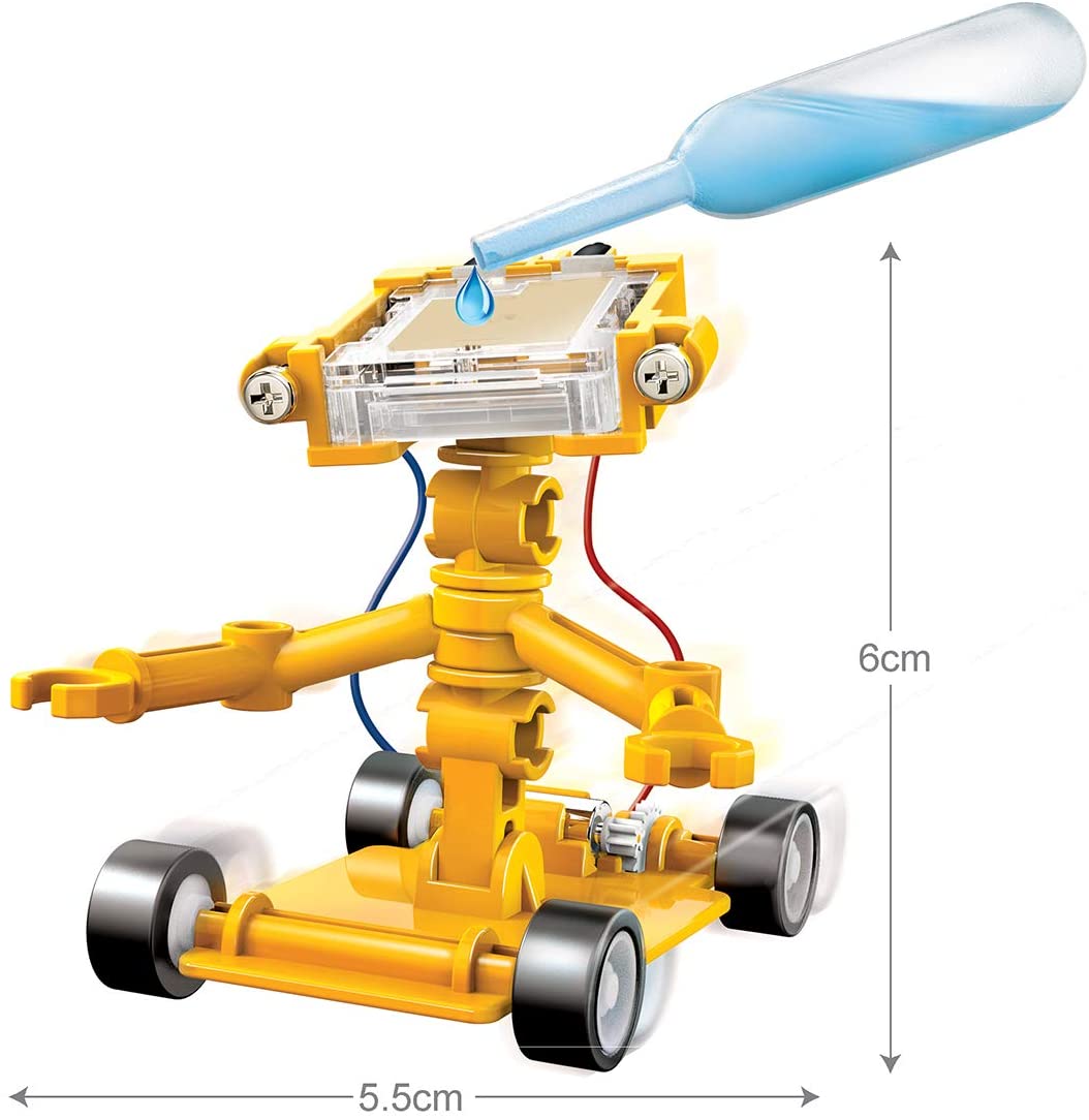Savory Steam STEM Bot