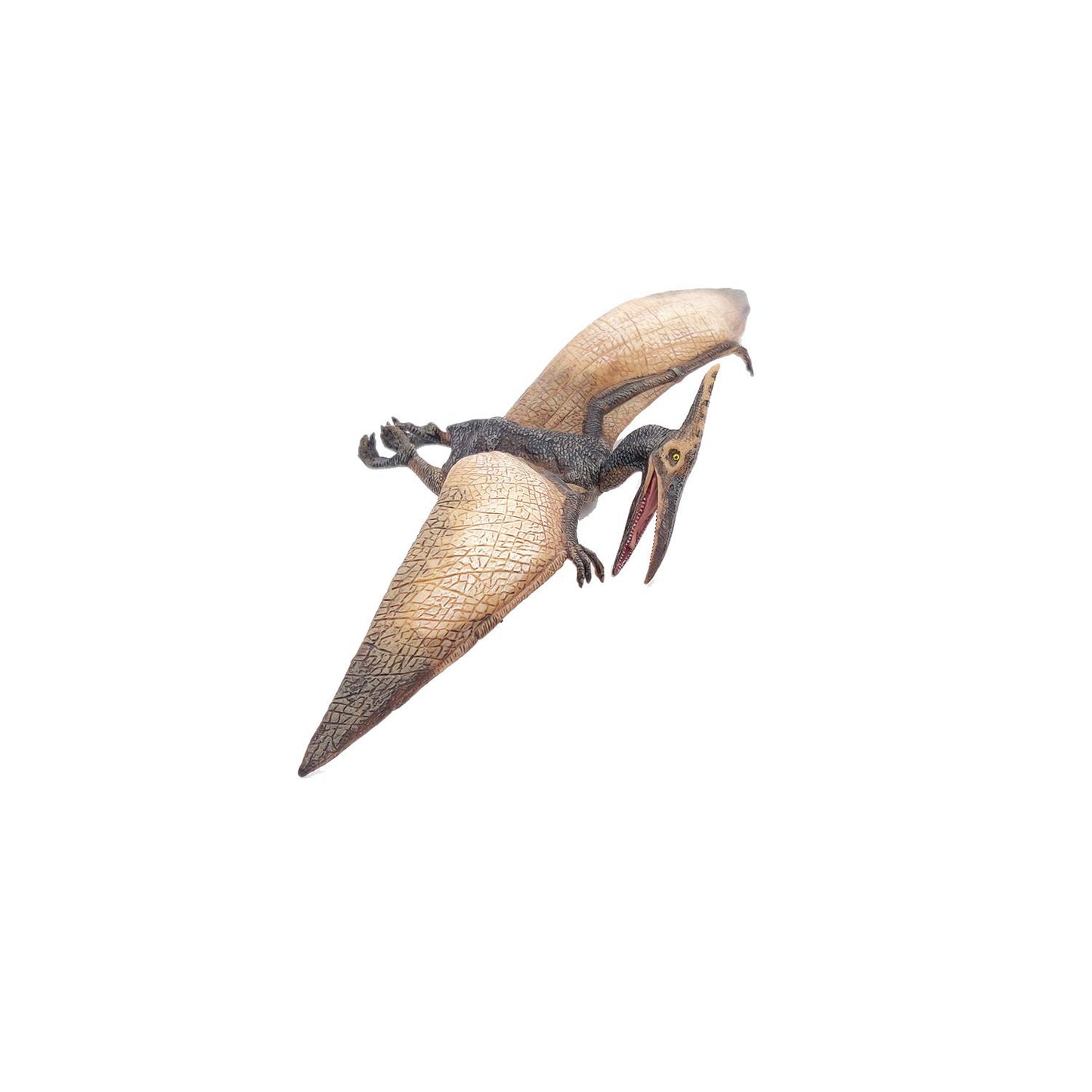 Papo Pteranodon Dinosaur Figure, 8.8cm, Multicolor, Plastic, Model 55006