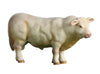Little Buster Toys Charolais Bull - 1/16 Scale Realistic Plastic Model, Charolais Color, Model 132973