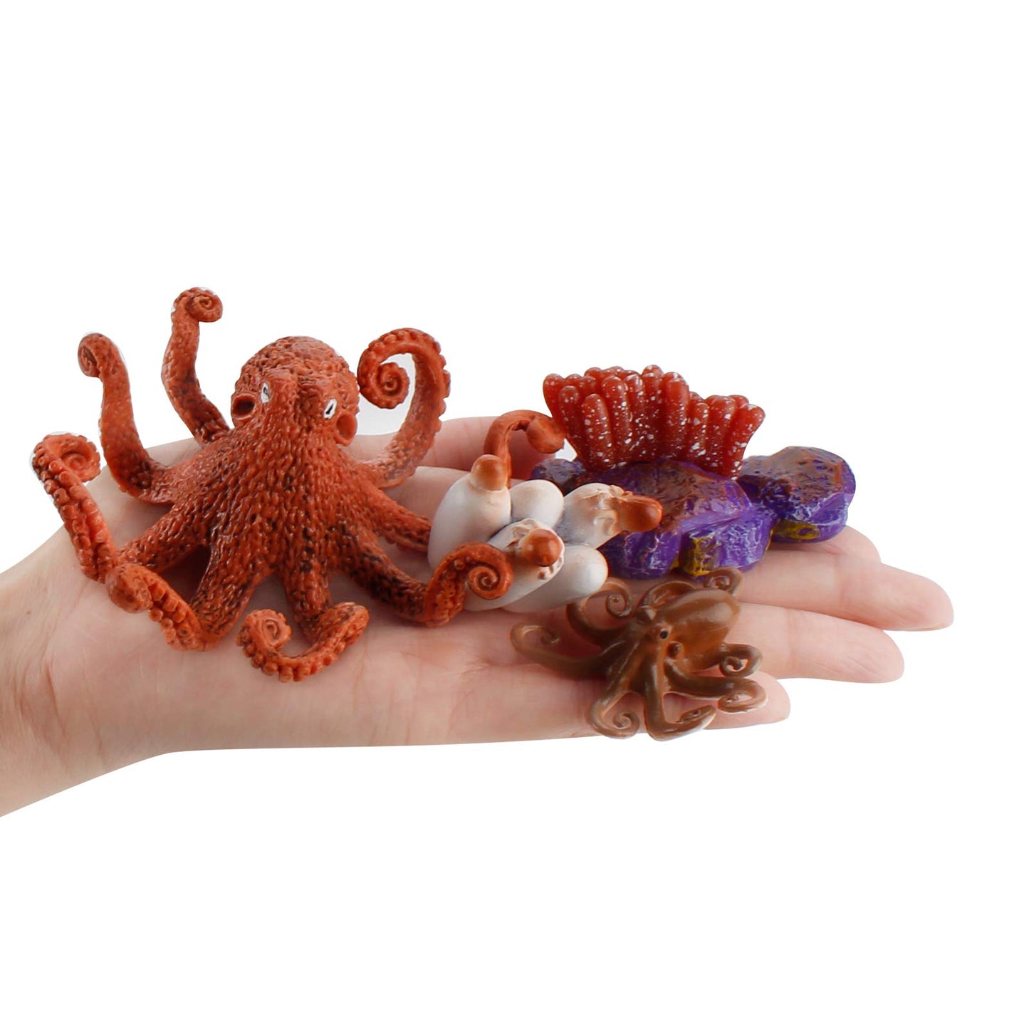 Fantarea 4 PCS Sea Marine Animal Figures Ocean Creatures Action Models Life Cycle Octopus Figure Ornament Cake Toppers Party Fav