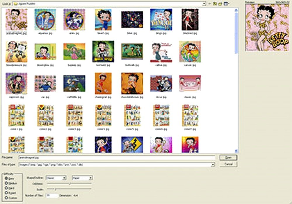 Selectsoft Publishing Betty Boop: Picture Perfect