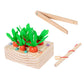ENAKSHI Montessori Toys Learning Activities Sorting Game Teaching Aids for Preschool|Toys & Hobbies | Educational | Other Educat
