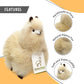 AlpacaNext Real Alpaca Fur Toy - Soft 9" Beige Handcrafted Cuddly Plush