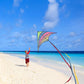 Mint's Colorful Life Delta Kite - Easy to Fly, Large Multicolor Polyester Kite with 3 Ribbons & 300ft String, Model 32709293312
