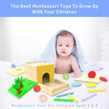 Adena Montessori 5-in-1 Wooden Play Kit - Object Permanence Box, Color Drop, Cotton Swab Game, Carrot Harvest, Coin Box for Kids 1 Year Old, Multicolor