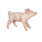 Papo -Hand-Painted - Figurine -Farmyard Friends -Female Piglet -51136 - Collectible - For Children - Suitable For Boys And Girls - From 3 Years Old, Pink