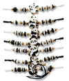 MOOLYAVAAN PRODUCTS Cute Panda Friendship Band And Rakhi for Brother | White Beaded Rakhi with Gold Accent Beads | Cartoon Panda
