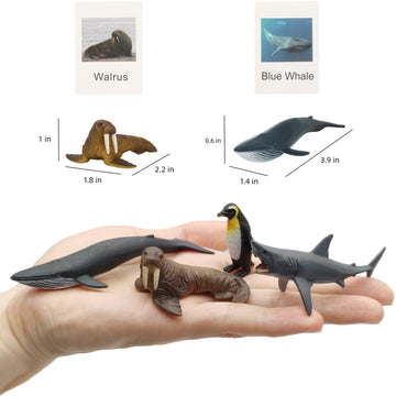 Small Montessori Animal Figures With Flash Cards, Realistic Animal Figurines Toys, Montessori Materials Homeschool Preschool Sci