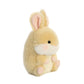 Aurora Bundle 2 5' Beanbag Stuffed Animals: Lively Bunny Bunbun Bunny