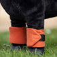 LeMieux Toy Pony Bandages for Toy Pony - Fleece - Simple Fastening - Suitable for Ages 3 Years + - Apricot