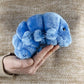Giantmicrobes Tardigrade Plush, Water Bear Plush Toy, Biology Gifts, Microbiology Gifts, Tardigrade Stuffed Animal, Tardigrade Gifts, Tardigrade Toy
