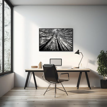 Bgraamiens Puzzle-Forest In Black And White-1000 Pieces Creative Black And White Nature Scenery Hard Puzzle Blue Board Jigsaw Pu