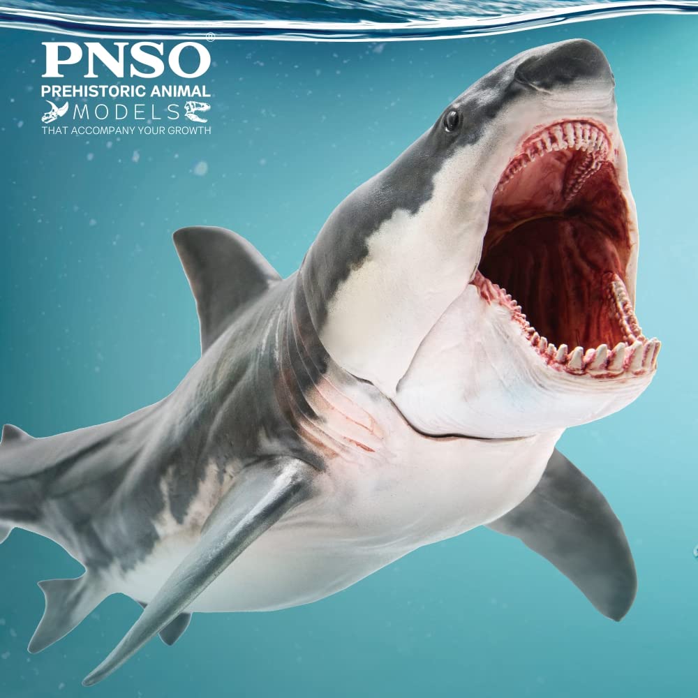 PNSO Prehistoric Animal Model - Dunkleosteus, 2.95" Plastic Figure, Patton the Megalodon (Big White Shark) 13" Variant