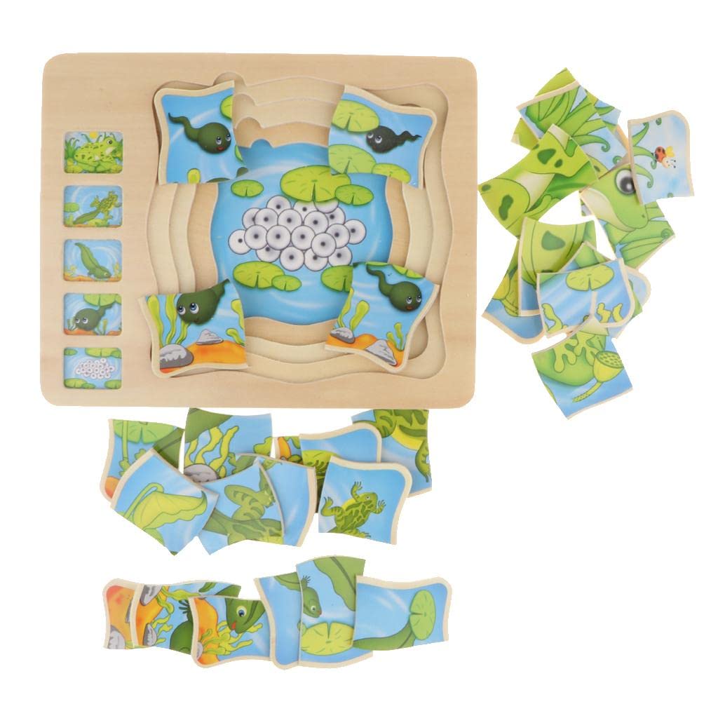 Enakshi Wooden Frog Animal Block Puzzle Board Montessori Educational Matching Toy|Toys & Hobbies | Educational | Other Education