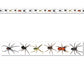Beistle Party Decoration Spiders Party Tape 3 x 20- Pack of 12