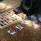 Je Joue Montessori Letter Work Learning Materials Wooden Small Moveable Alphabet Language Objects With Box (Red & Blue)