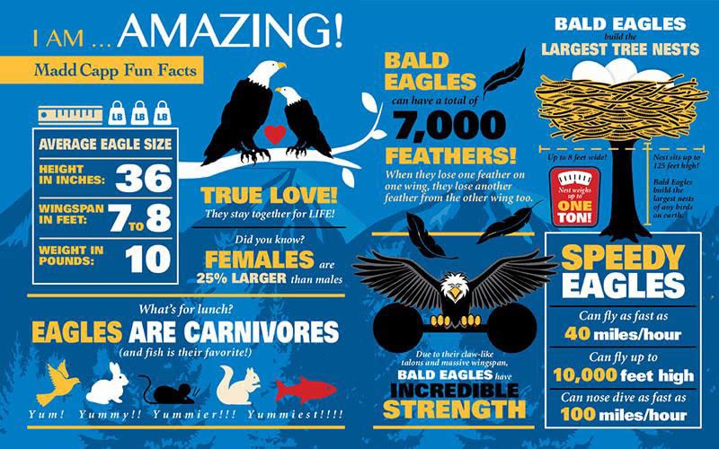 Madd Capp Puzzles - I Am Eagle - 550 Pieces - Animal Shaped Jigsaw Puzzle
