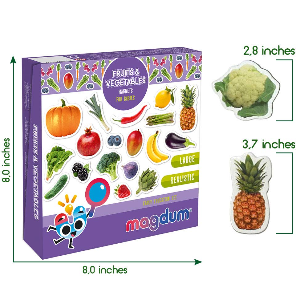 MAGDUM PHOTO FRUITs&Berries&VEGETABLEs-50 magnets for kitchen -real LARGE fridge magnets for toddlers- Magnetic EDUcational toys baby 3 year old baby - LEARNing magnets for kids- Kid magnets
