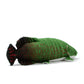 Zhongxin Made Arapaima Plush - Lifelike Arapaima Gigas Fish Stuffed Animals, Soft Green 18Inch Arapaima Fish Plushie Toy, Super