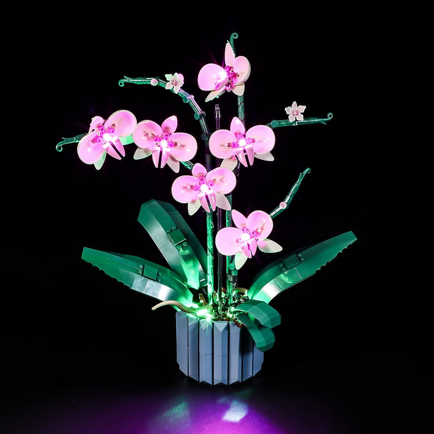 Lightailing Led Lighting Kit For Lego- 10311 Orchid Building Blocks Model - Led Light Set Compatible With Lego Model(Not Include Lego Model)
