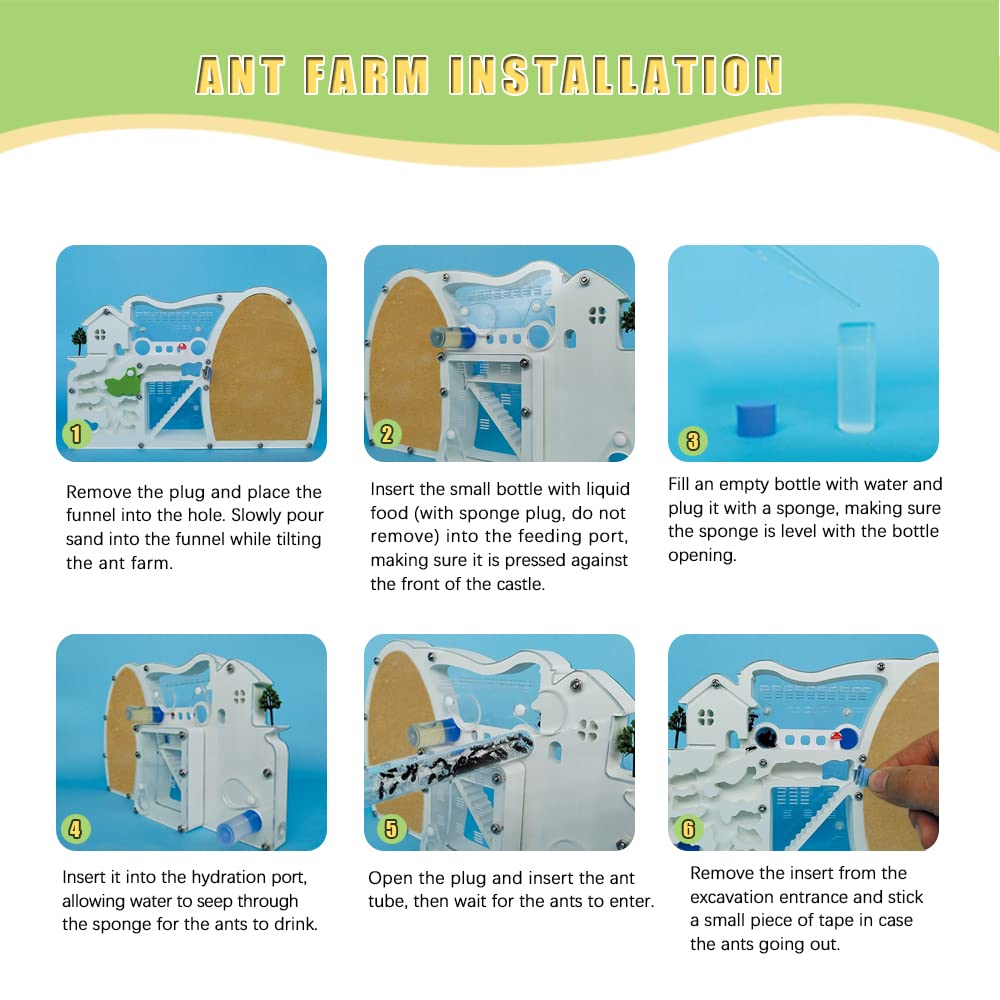 Elnmlht Ant Farm Castle, Sand Ant Colony Observation Kit, Ant Viewing Habitat Science Kit, Educational & Learning Science Kit Fo