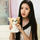 Cute Rabbit 9 Inch Chihuahua Plush Toy Stuffed Animal Toy Plush Animal Doll