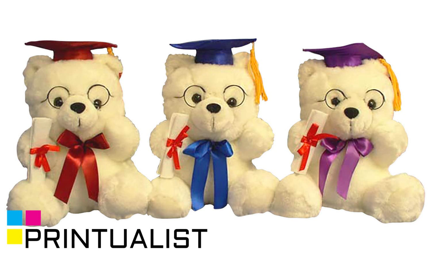 Personalized Graduation Teddy Bear Gifts 2025 for Her, for College, High School, 12 Inch - Cute Custom White Bear with Your Name