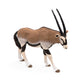 Papo Onyx Antelope Toy Figure - Multicolor Plastic Model 50139