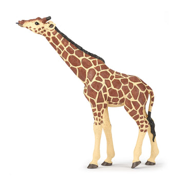 Papo -Hand-Painted - Figurine -Wild Animal Kingdom - Head Raised Giraffe -50236 -Collectible - For Children - Suitable For Boys And Girls- From 3 Years Old