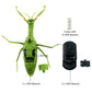 Tipmant Rc Praying Mantis Toy Ir Remote Control Animal Fake Car Vehicle Electric For Kids Birthday