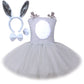 Rabiss Easter Kids Girls Bunny Costume Tutu Dress Up Clothes Set Rabbit Birthday Party Costume Animal Bunny Kids Costume Girls E