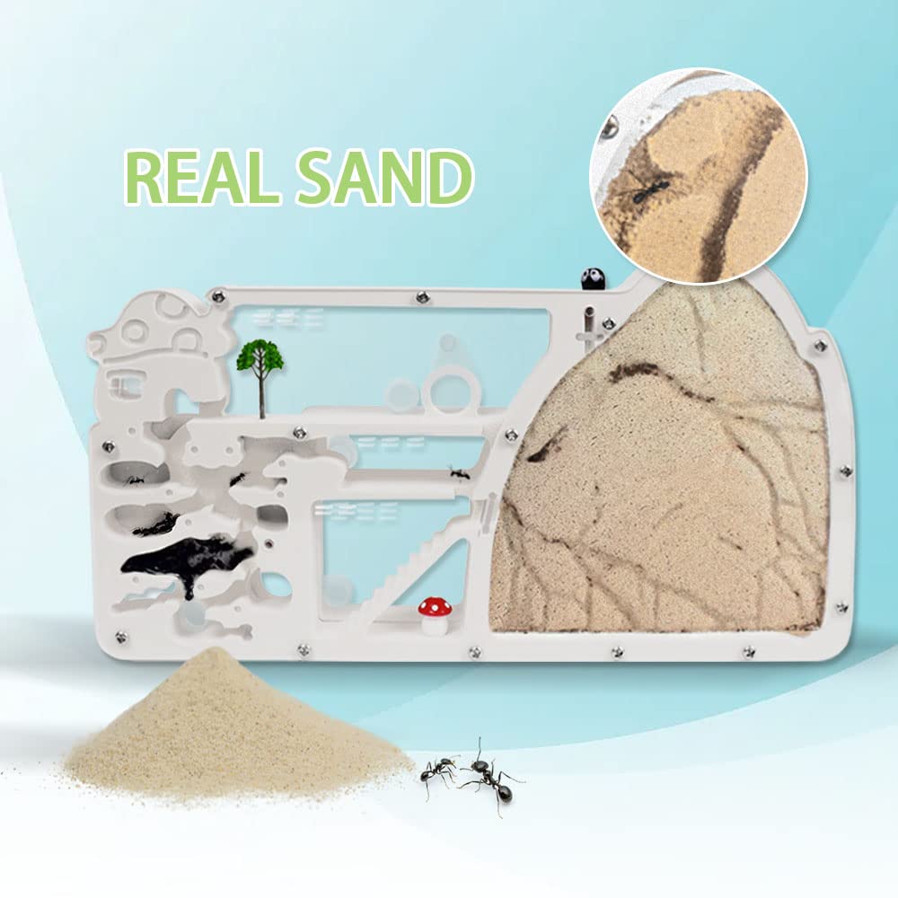 Elnmlht Ant Farm Castle, Ant Farms With Yellow Sand And Tool Kit, Ant Colony Observation Kit, Ant Viewing Habitat Science Kit, E