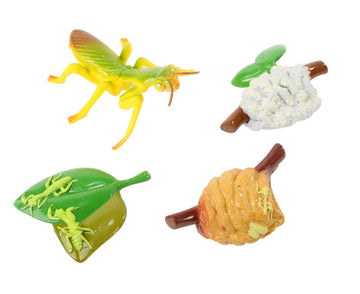 Praying Mantis 4 Piece Life Cycle Figures - 2 Bug Toys by Insect Lore