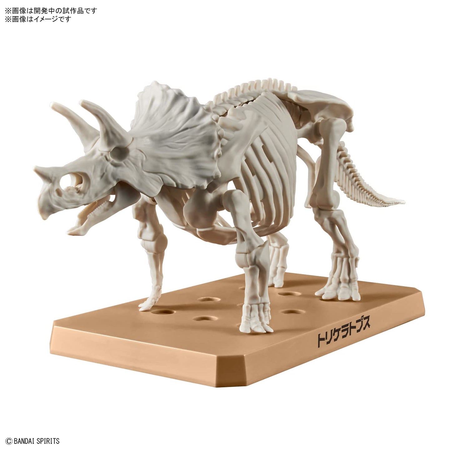 Bandai Hobby - Plannosaurus - #02 Triceratops, Bandai Spirits Dinosaur Model Kit