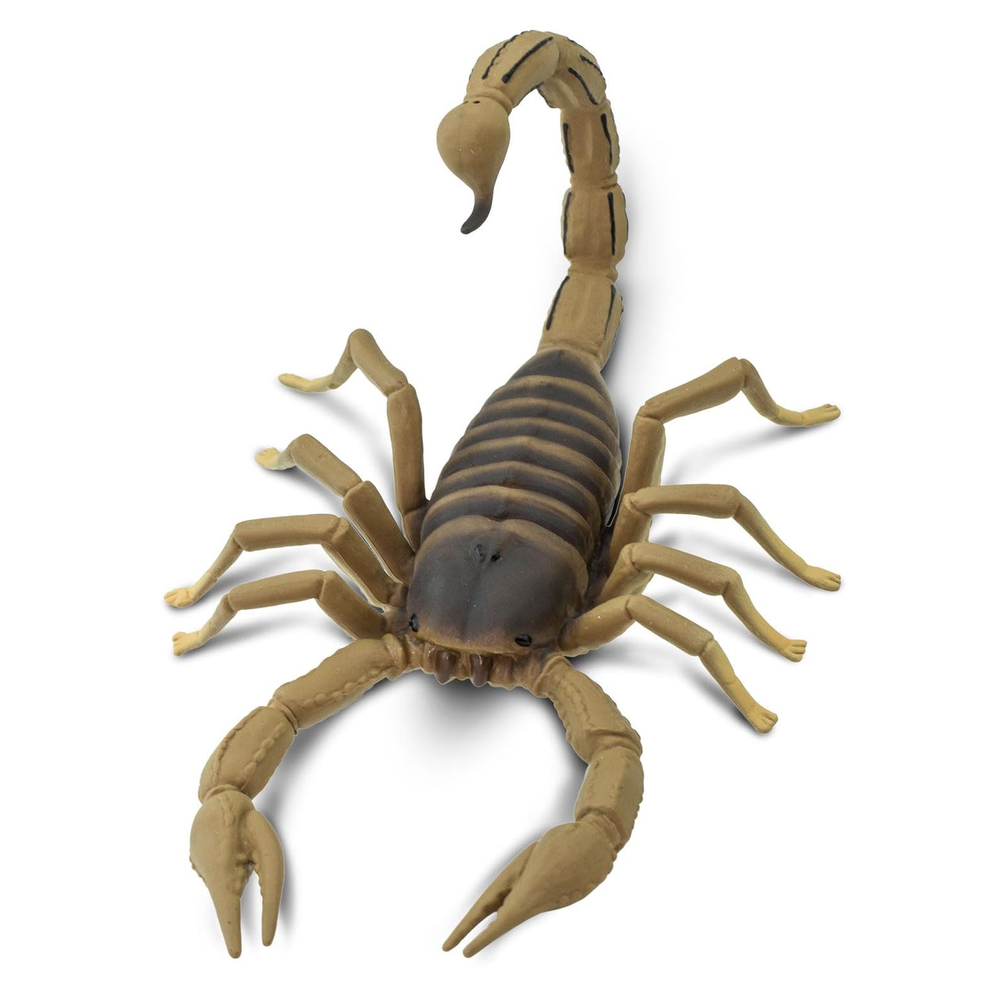 Safari Ltd. Scorpion Figurine - Realistic 7.5" Brown Arachnid Toy for Kids Ages 3+ - Educational Model 100260