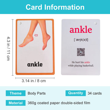 Lilias Body Parts Flash Cards, Toddler Learning Toys, Preschool Learning Toys, Homeschool Supplies, Learning Supplies For Kindergarten, 4.3 X 3.14 Inch, 34 Cards In Set