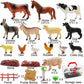 BOLZRA Farm Animals Playset 53PCS - Realistic Plastic Educational Toys for Boys & Girls, Multi-Color, Model QX-NC53